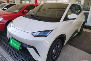 Used BYD Seagull 2024 Honor Edition 305km Freedom Version