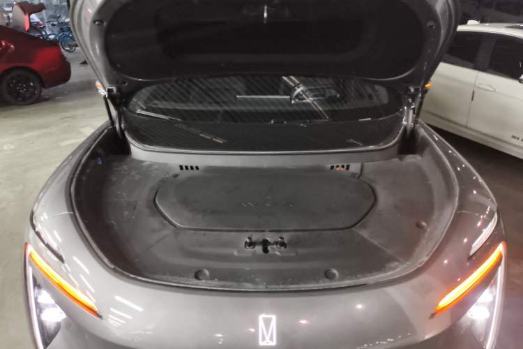 Used  07 2024 Max Extended-Range Edition
