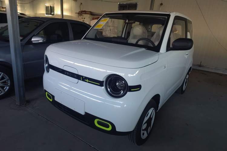 Used  Panda 2025 210 km – Yuanqi Bear
