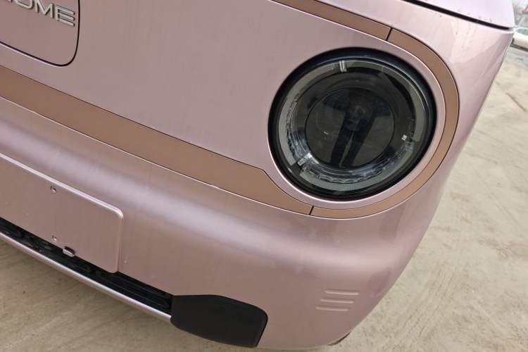 Used  Panda 2024 Panda Mini 200km Endurance Bear