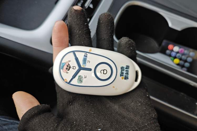 Used  Geome 2025 310km Dream Edition
