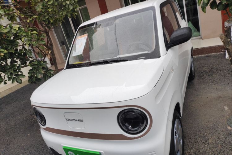 Used  Panda 2024 Panda Mini 200km Endurance Bear
