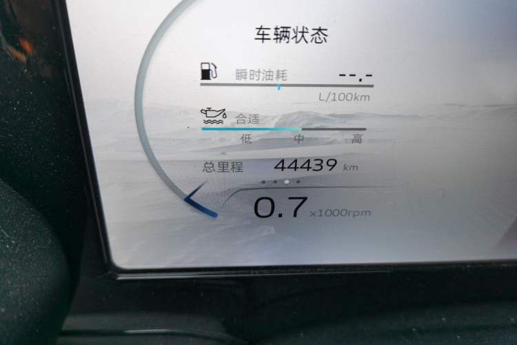 Used Geely Auto Monjaro L 2021 2.0TD DCT EVO Two-Wheel Drive Prestige Version
