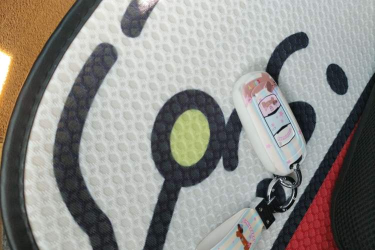 Used  Panda 2025 210 km – Yuanqi Bear
