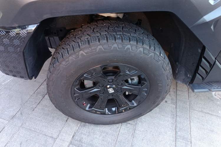 Used Tank 400 2025 2.0T Gasoline Version
