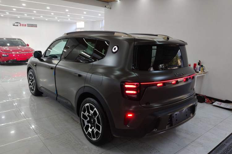 Used  #5 2024 Jungle Realm Limited Edition