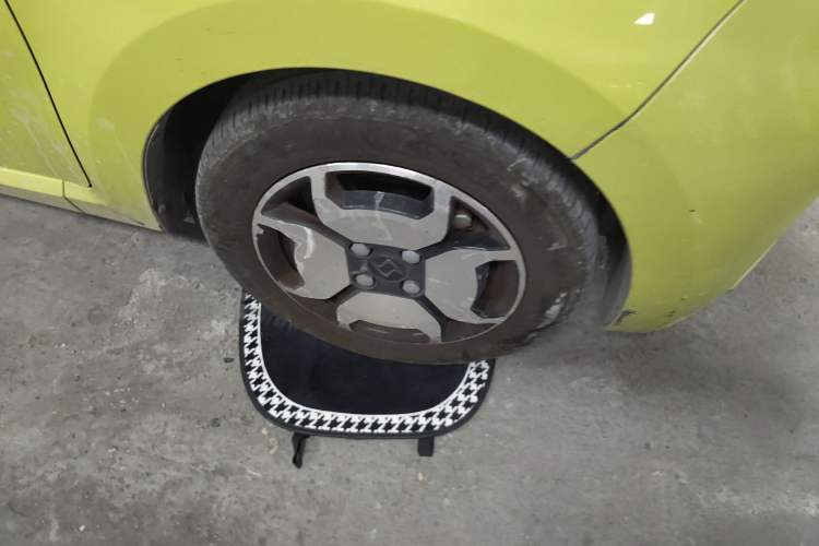 Used SOL E10X 2022 Flower Fairy Style Baby's Breath
