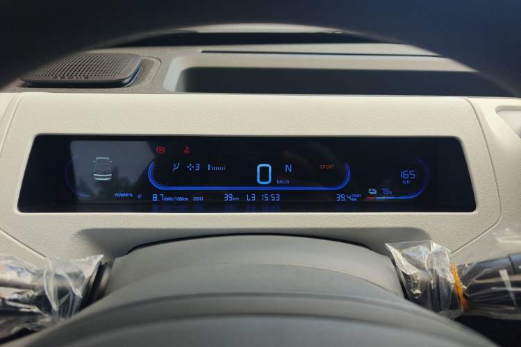 Used  Panda 2024 Panda Mini 200km Endurance Bear
