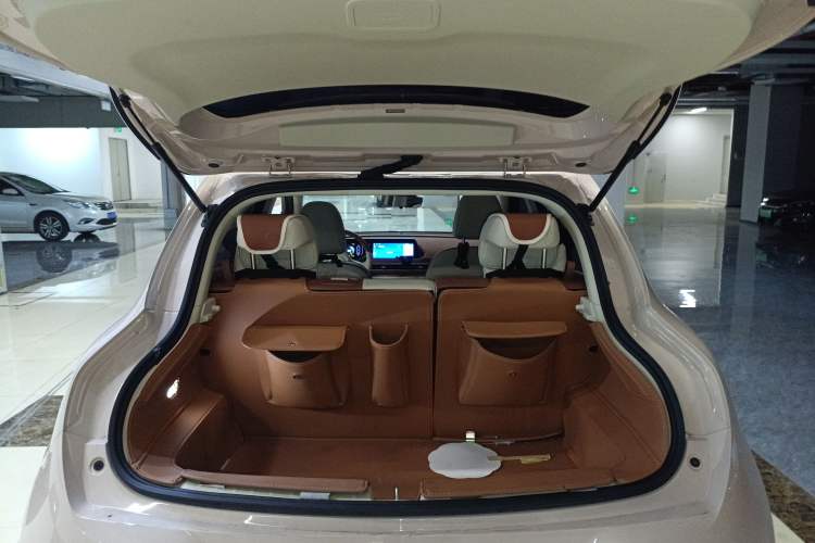 Used ORA Good Cat 2023 401 km Standard Range Luxury Version Lithium Iron Phosphate