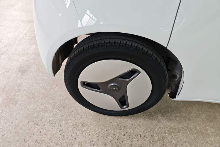 Used ORA White Cat 2020 360 km Luxury Version
