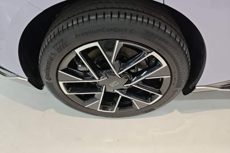 Used  06 2025 Max Extended-Range Edition
