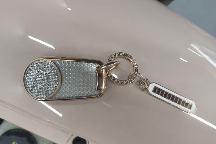 Used ORA Good Cat 2023 501 km Long-Range Luxury Version Ternary Lithium
