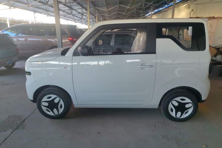 Used  Panda 2025 210 km – Yuanqi Bear
