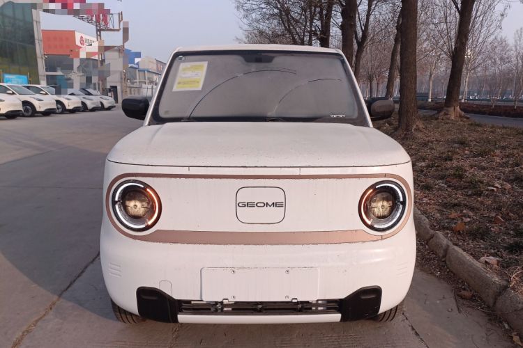 Used  Panda 2024 Panda Mini 200km Endurance Bear
