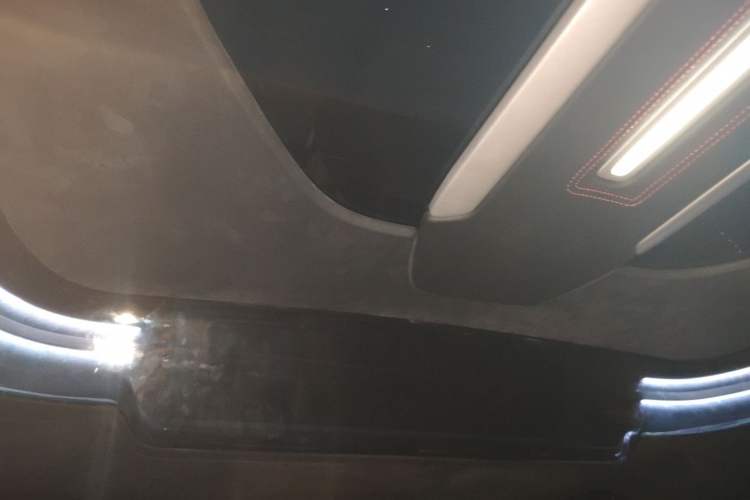 Used  LS Series 2020 LS560MX SKABINE Skylight
