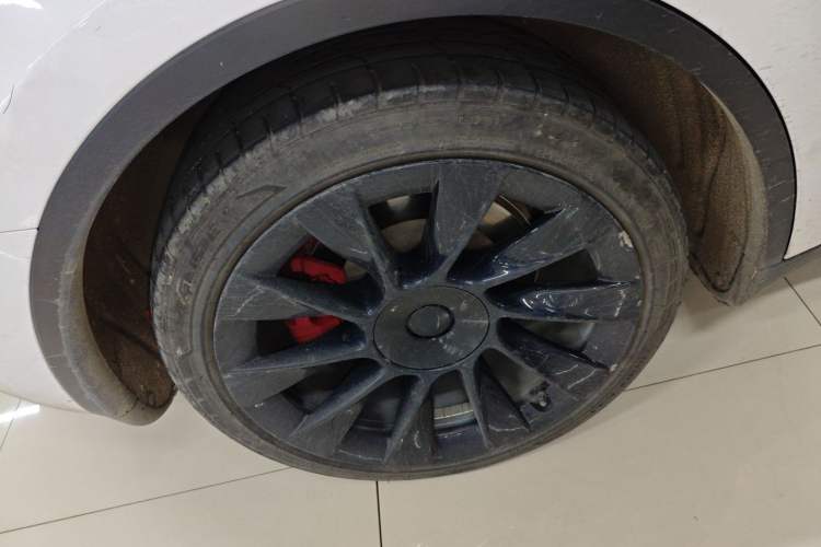 Used Tesla Model Y 2021 Standard Range Rear-Wheel Drive Version
