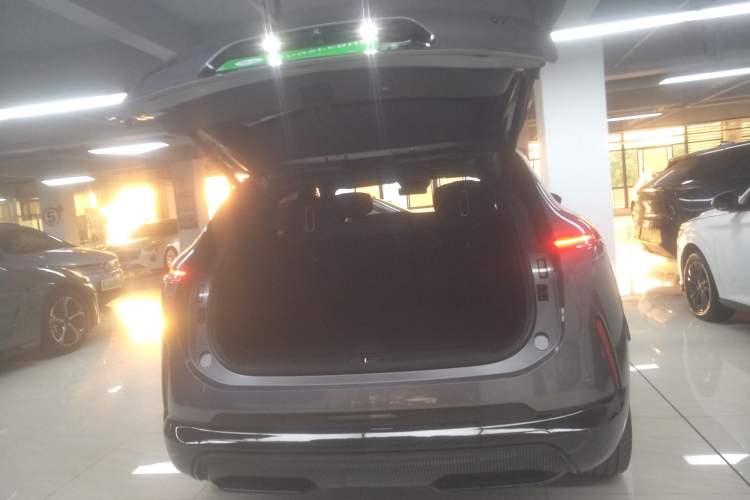 Used  07 2024 Max Extended-Range Edition
