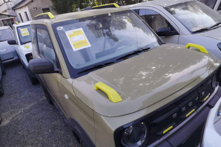 Used  Panda 2025 210km Panda Rider
