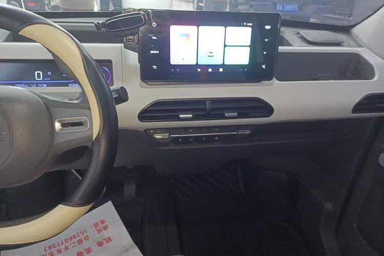 Used  Panda 2023 Panda Mini 200km Endurance Bear