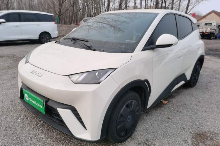 Used BYD Seagull 2025 305km Active Version
