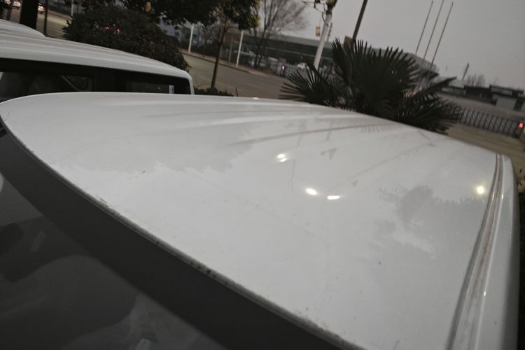 Used  Panda 2024 Panda Mini 200km Endurance Bear