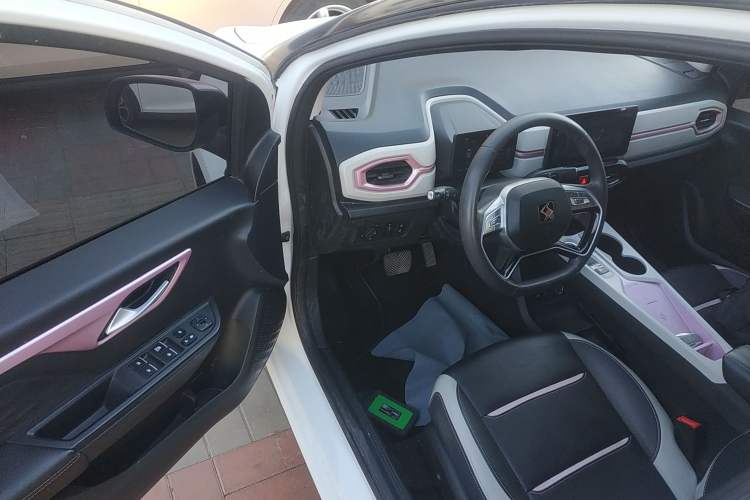 Used SOL E10X 2022 Flower Fairy Design Four-Leaf Clover