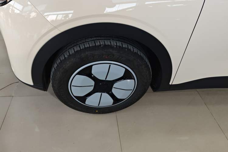 Used  Geome 2025 310km Youth Edition
