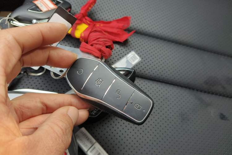 Used BYD Sealion 05 DM-i 2025 DM-i Intelligent Driving 75KM Prestige Model
