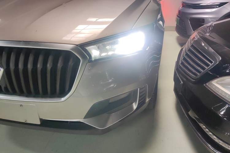 Used BORGWARD BX5 2017 20TGDI Automatic Two-Wheel Drive Pioneer Edition
