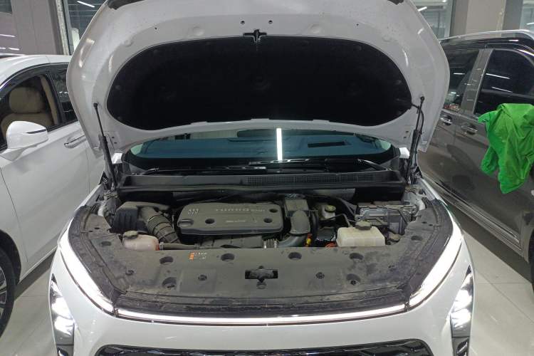 Used Buick GL8 New Energy 2024 Lu Zun Luxury Edition 6-Seater
