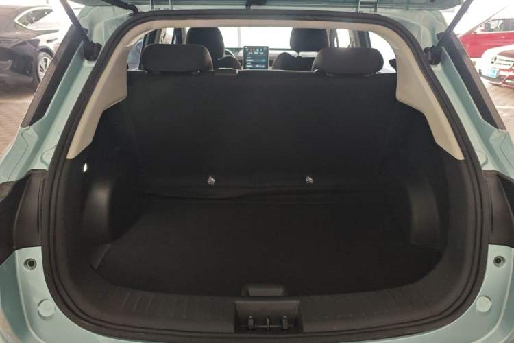 Used NETA V 2022 Standard Range Industry Custom Edition
