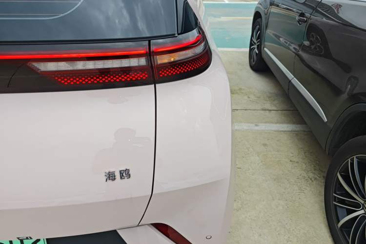 Used BYD Seagull 2024 Honor Edition 305km Freedom Version
