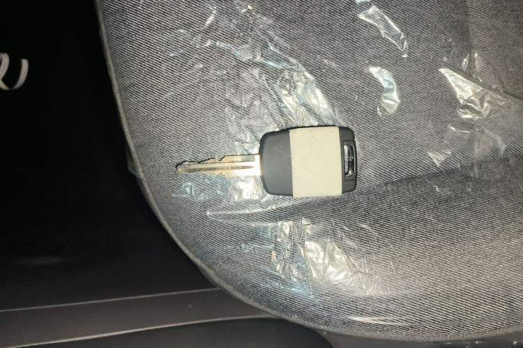 Used Wuling Hongguang New Energy 2024 All-Electric Model 300KM Standard Version