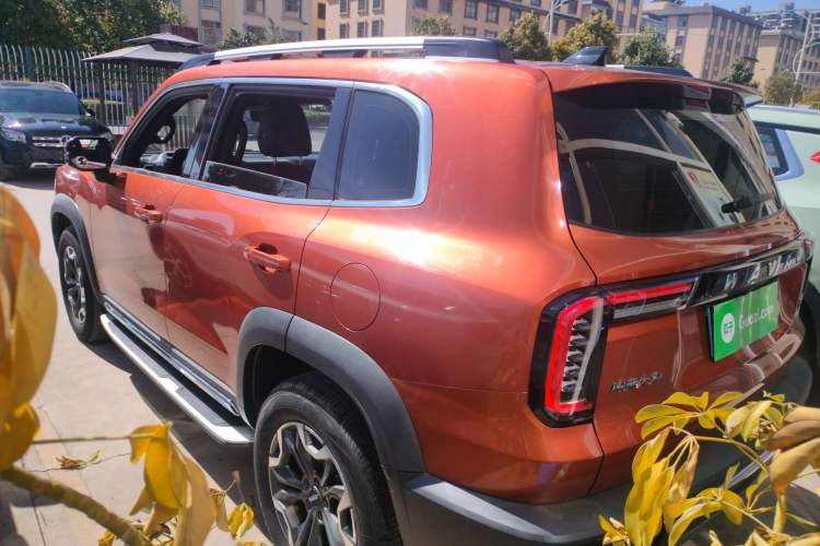Used Haval DARGO 2021 2.0T DCT 4x4 Chinese Rural Dog Edition

