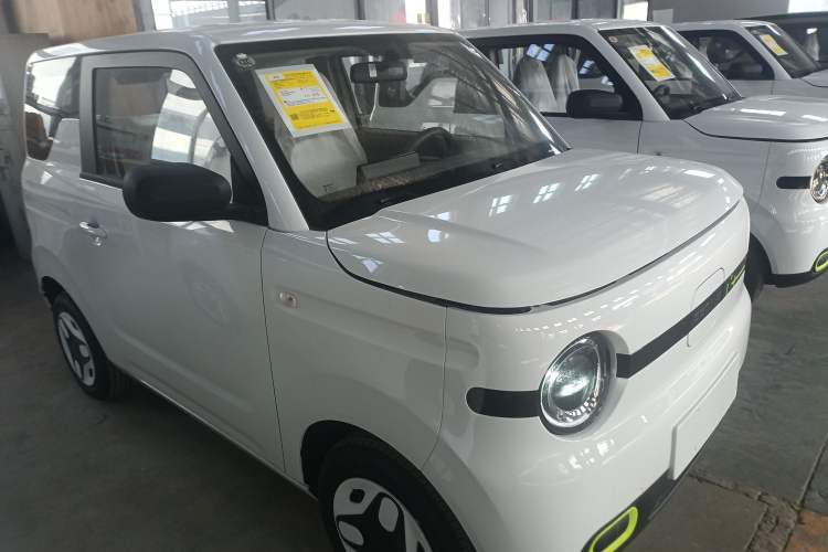 Used  Panda 2025 210 km – Yuanqi Bear
