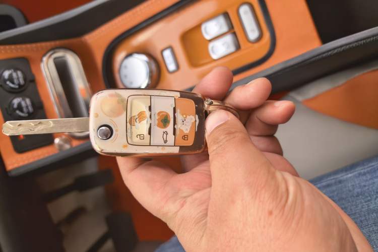 Used  Lumin 2023 301km Honey Dew Edition
