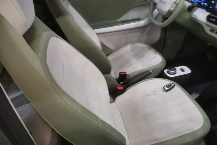 Used  Panda 2025 210km Panda Rider