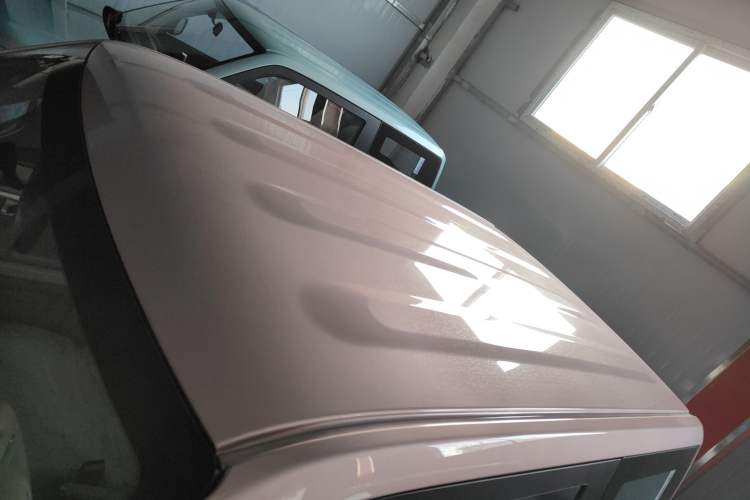 Used  Panda 2024 Panda Mini 200km Endurance Bear