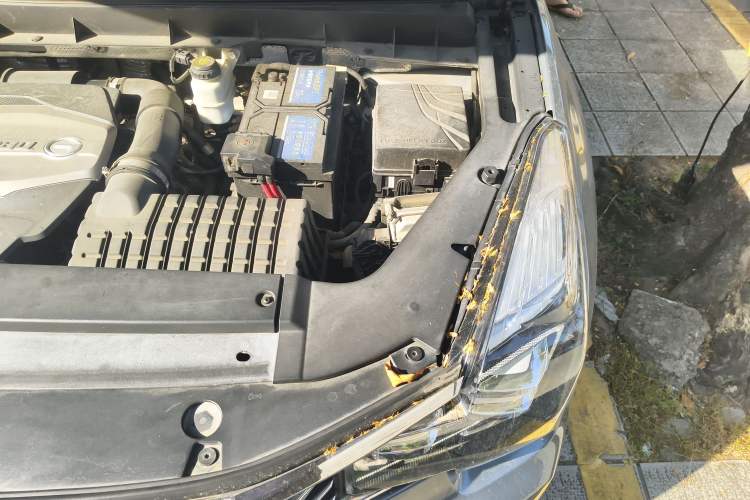 Used GAC Trumpchi GS8 2017 320T Two-Wheel Drive Luxury Smart Connectivity Version (7 Seats)
