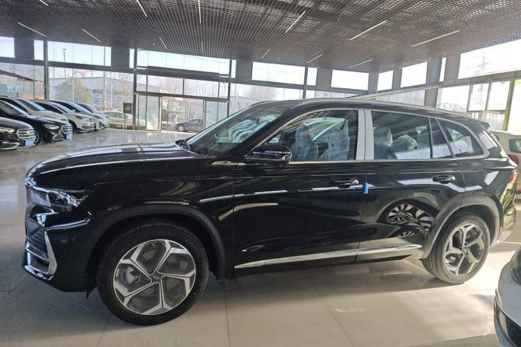 Used Geely Auto Monjaro L 2024 2.0TD DCT EVO Two-Wheel Drive Long-Range Version
