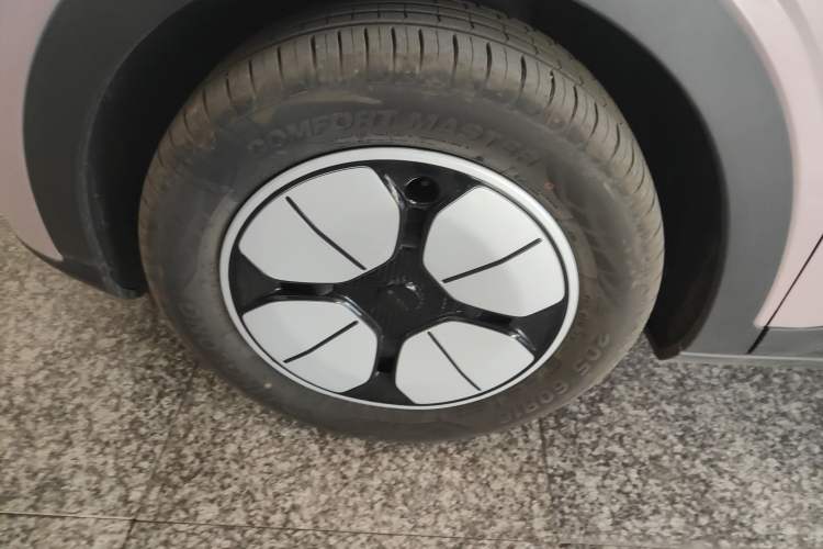 Used  Geome 2025 310km Youth Edition
