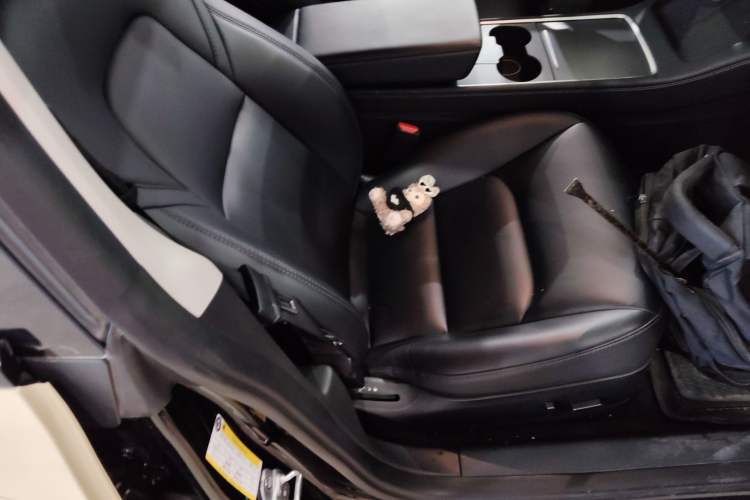 Used Tesla Model 3 2022 Rear-Wheel-Drive Version
