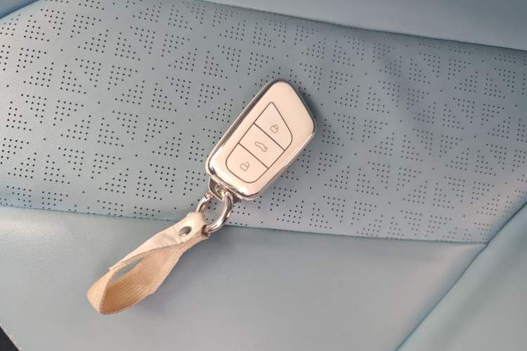 Used Chery Little Ant 2022 Sweet Pink Edition Half-Sugar Version Lithium Iron Phosphate 29.2 kWh 30 kW 301 km
