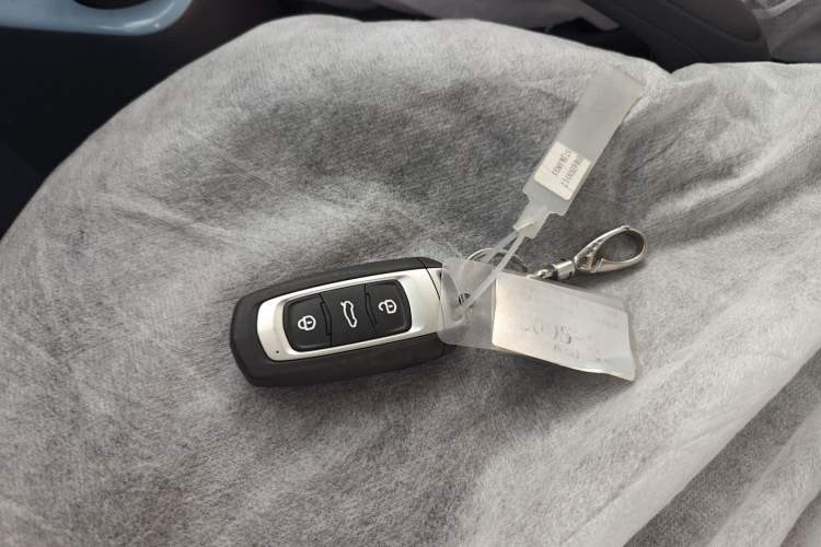 Used  Panda 2024 Panda Mini 200km Endurance Bear