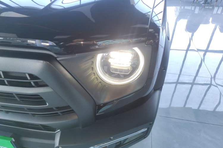 Used Haval DARGO 2024 2.0T DCT Chinese Rural Dog Edition
