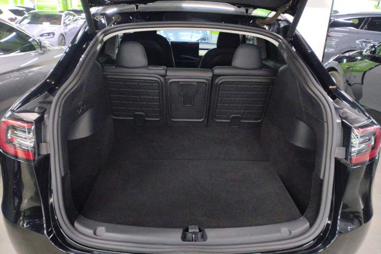 Used Tesla Model Y 2021 Standard Range Rear-Wheel Drive Version
