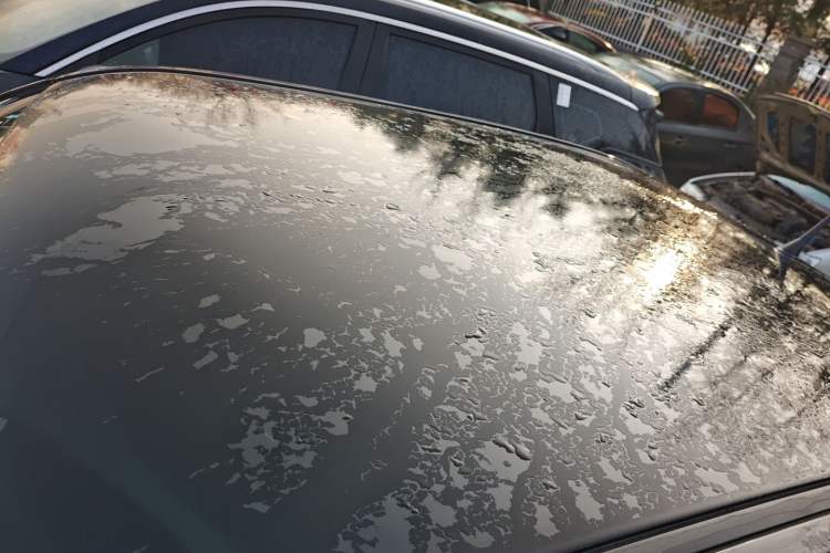 Used Wuling Hongguang MINIEV 2022 Macaron Fashion Edition Lithium-Nickel-Cobalt-Alpha-oxide