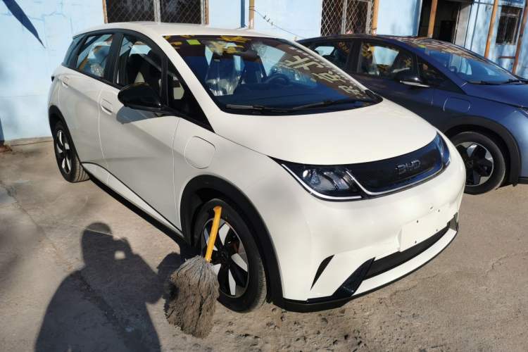 Used BYD Dolphin 2025 420km Free Edition
