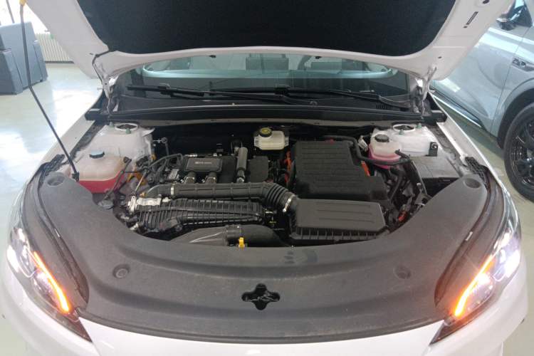 Used BYD Seal 05 DM-i 2025 DM-i Smart Drive 55KM Luxury Model
