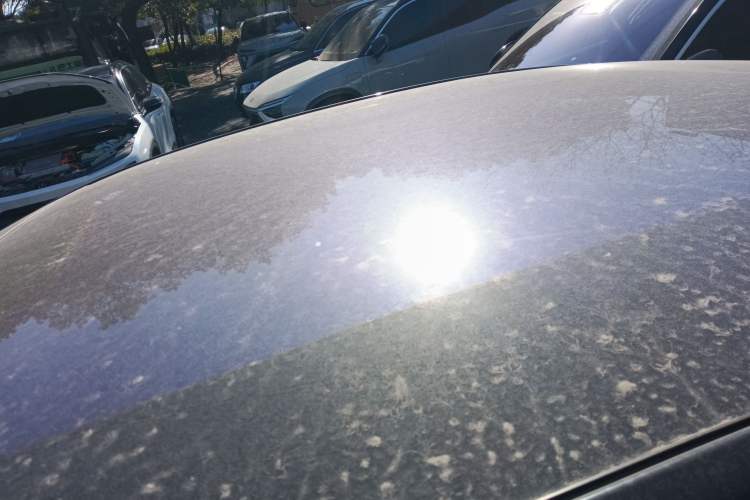 Used Nio EC6 2020 440 km Performance Version
